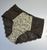 Трусики Lanny Mode 55848 Коричневий L 55848 фото